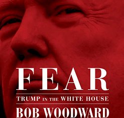 Fear Trump In The White House