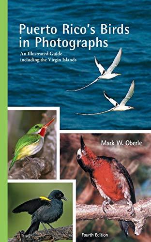 Puerto Rico's Birds in Photographs: An Illustrated Guide Including the Virgin Islands, 4th Edition