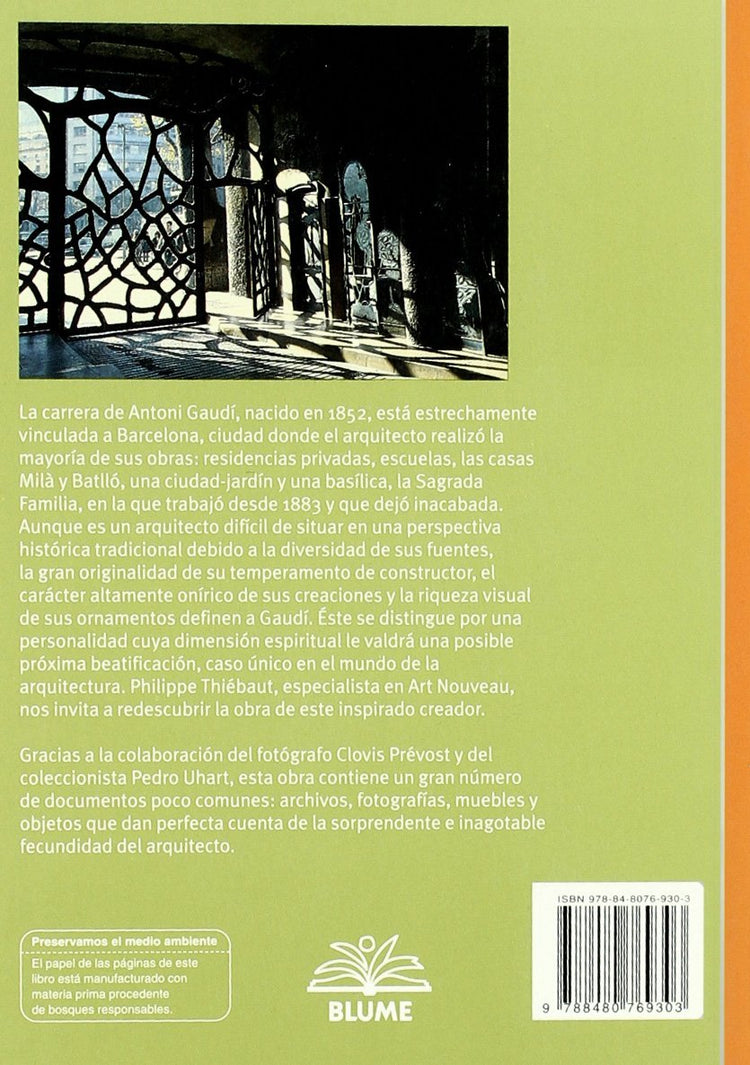 Gaudi: Arquitecto visionario (Biblioteca ilustrada) - D'Autores