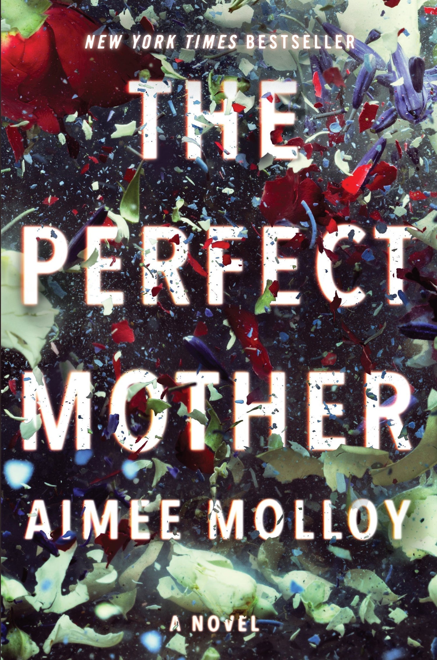 The Perfect Mother: A Novel - D'Autores