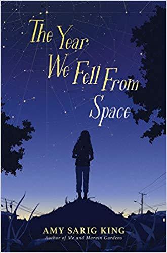 The Year We Fell From Space - D'Autores